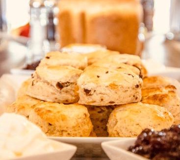 Tenterfield Bed & Breakfast | Carpe Diem Guesthouse
