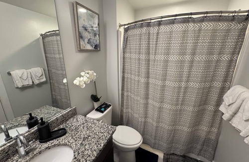 Museum District Apartment | Carytown Apartment; Free Netflix