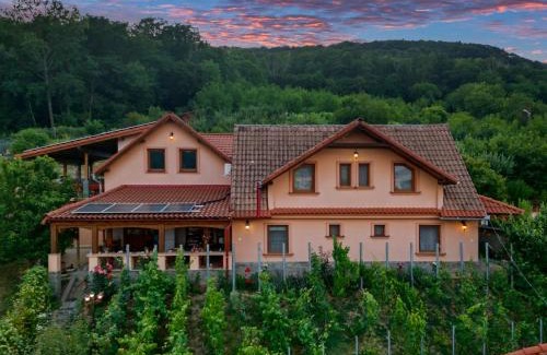 Sighisoara House | Casa Adam