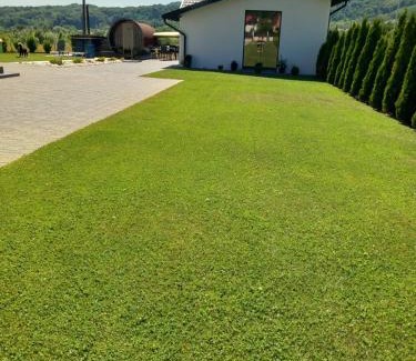 Albestii Paminteni House | Casa Ambientt