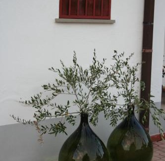 San Nicolo a Tordino Bed & Breakfast | Casa Amrita B&B