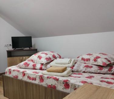 Bicazu Ardelean House | Casa Ana