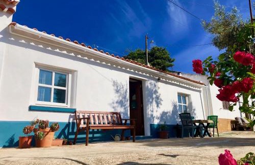 Aljezur House | Casa Anneli - relaxing under the olive tree