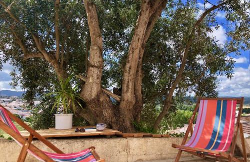 Aljezur House | Casa Anneli - relaxing under the olive tree