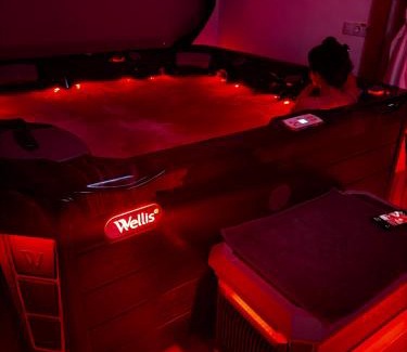 Pianu de Sus House | Casa Artemis-jacuzzi și piscină