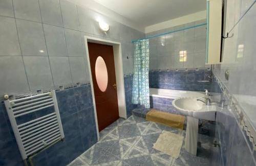 Baile Herculane House | Casa Aura