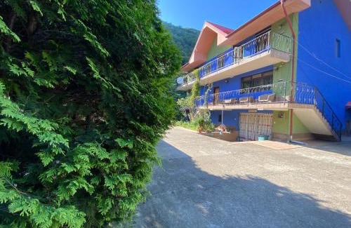 Baile Herculane House | Casa Aura
