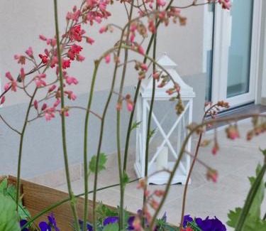 Monzambano House | CASA AUTUNNO