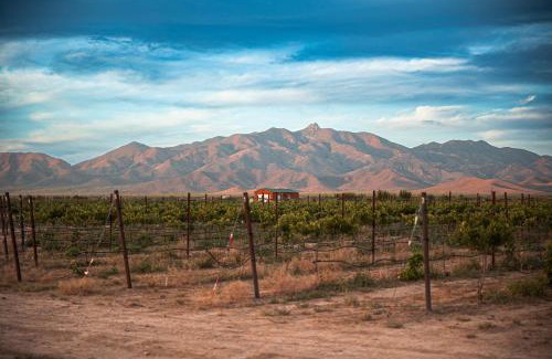 Willcox House | Casa Barbera at Tirrito Farm