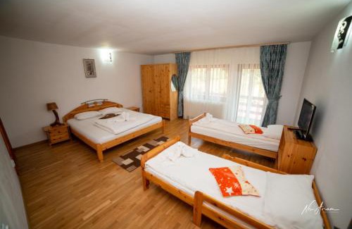 Arieseni House | CASA BINU