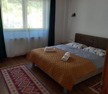 Bistrita Bargaului House | Casa Blaju