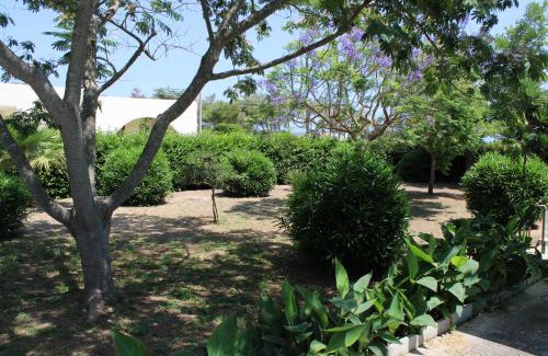 Sant'Andrea House | casa blu