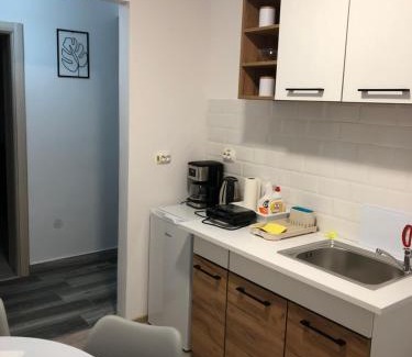 Geoagiu Apartment | Casa Bocan