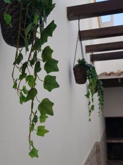 Chella House | Casa Bonaire