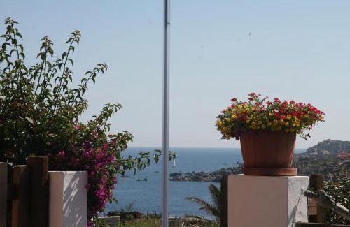 Santa Teresa di Gallura Apartment | Casa Bouganville