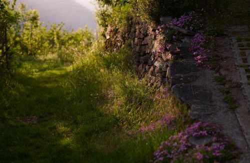 Cavagnago House | Casa Bubeck