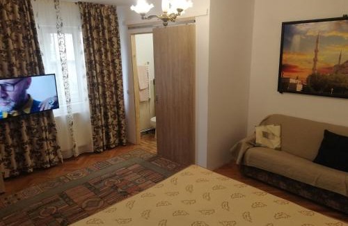 Tirgu Ocna House | Casa BUCUR