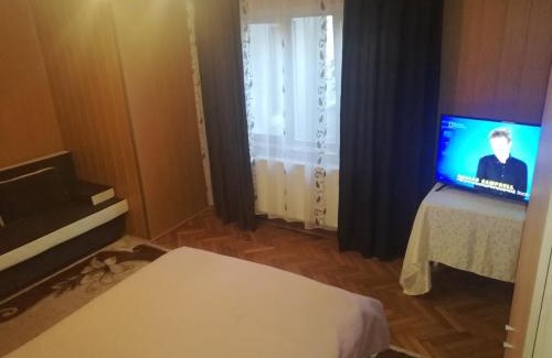 Tirgu Ocna Apartment | Casa Bucur