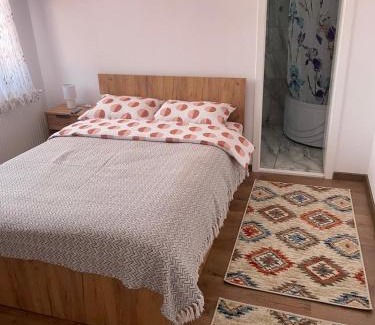 Malaiesti House | Casa Bunicilor