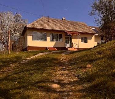 Vama Buzaului House | Casa Buzaiel,910