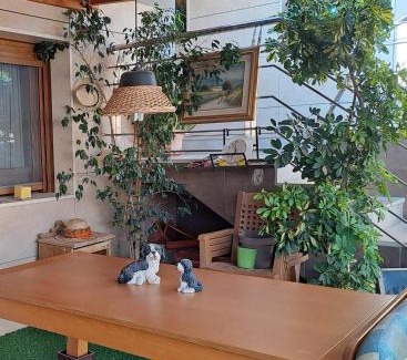 Benejuzar House | Casa con piscina y gimnasio privados