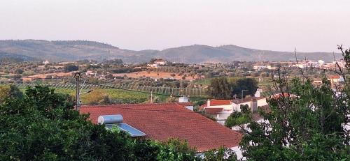 Vila de Frades House | Casa Cor do Vinho