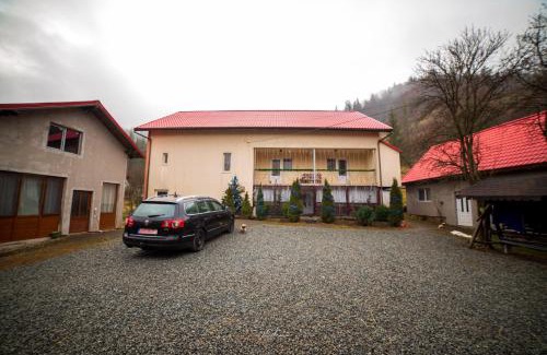 Arieseni Cabin | Casa Cosmina Arieseni
