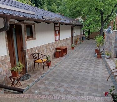 Baile Herculane House | Casa Crina