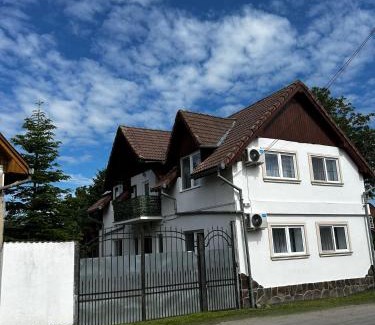 Porumbacu de Sus House | Casa cu brazi