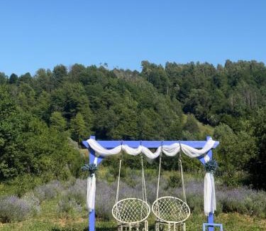 Petrosani House | Casa cu Lavanda