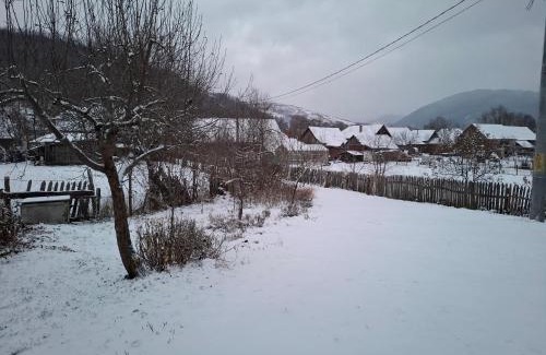 Balsa House | Casa cu levănțică