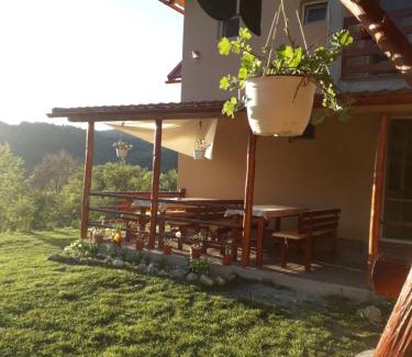 Vidra House | Casa cu Muscate