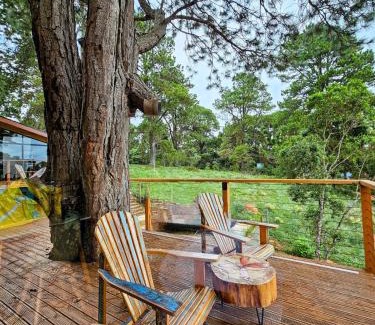 Alto da Boa Vista Ski Chalet | Casa da Árvore - ManTeQuiero