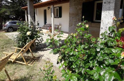 Carrazeda de Ansiaes House | Casa da Farmácia