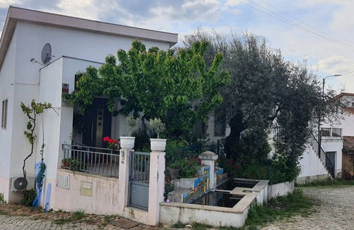 Braganca House | Casa da Oliveira