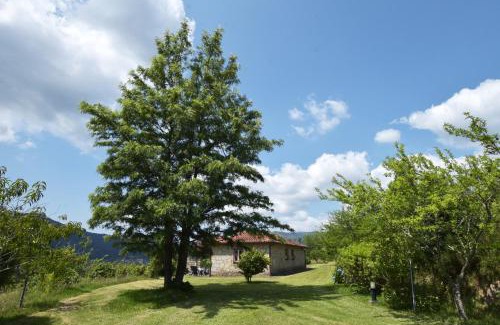 Cossourado House | Casa da Ramada, Turismo Espaço rural.