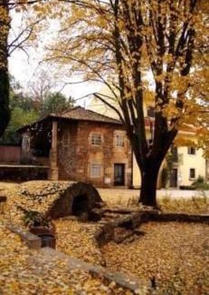 Macedo de Cavaleiros House | Casa da Sofia