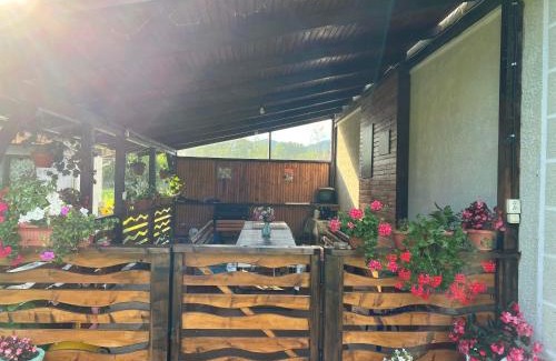 Vidra House | Casa Danut
