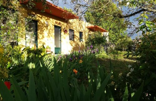 Mangualde House | Casa Das Palmeiras-Pedagogic Farm