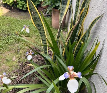 Reconquista House | Casa de Alquiler Temporario