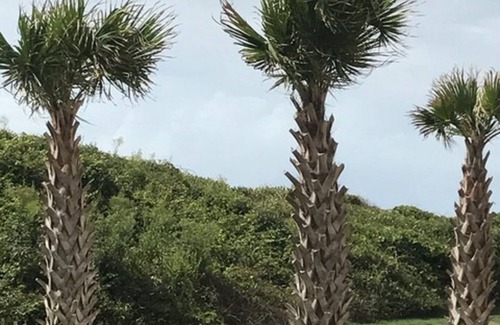 Caswell Beach Condo | Casa de Ava - Ocean View, well maintained, condo on Caswell Beach