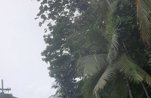 Eastern Panama Other | Casa de campo la subidita