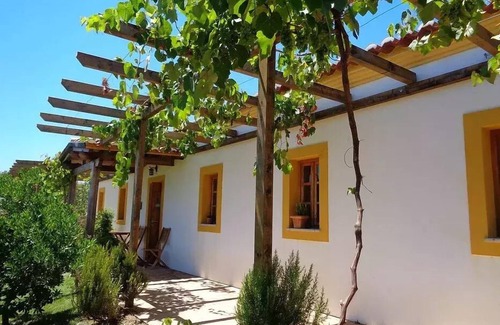 Pedra Arrancada House | Casa de Campo Vale do Asno