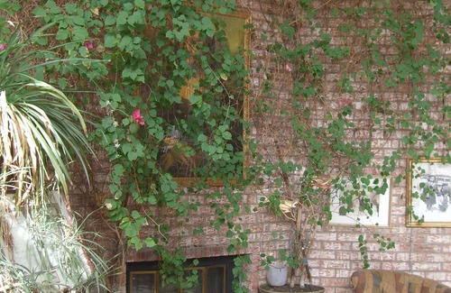 Paradise Hills Civic House | CASA DE CARRARO PRIVATE OASIS IN ALBUQUERQUE
