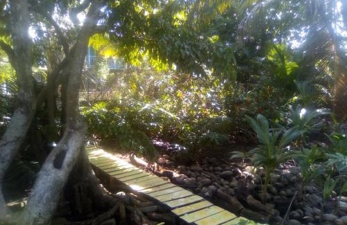 Isla de Utila Apartment | casa de huéspedes selvatica