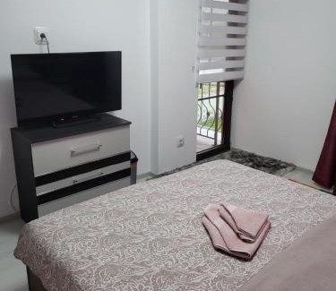 Vaslui Villa | Casa de inchiriat in Vaslui