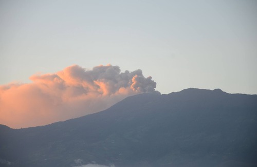Turrialba Apartment | Casa de la Brujita - Double Room with Kitchenette and Garden Pavilion