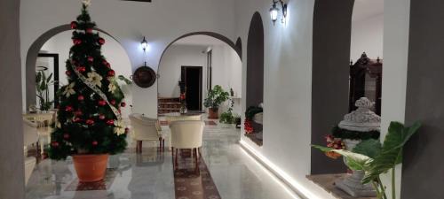 Palma del Rio Bed & Breakfast | CASA DE LA SEÑORA