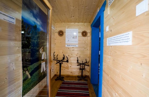 Viseu de Jos House | Casa de Parade-Traditional guesthouse