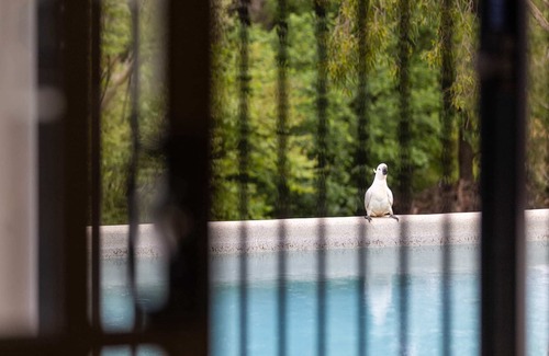 Witta House | Casa De Paz - Chill by the pool!